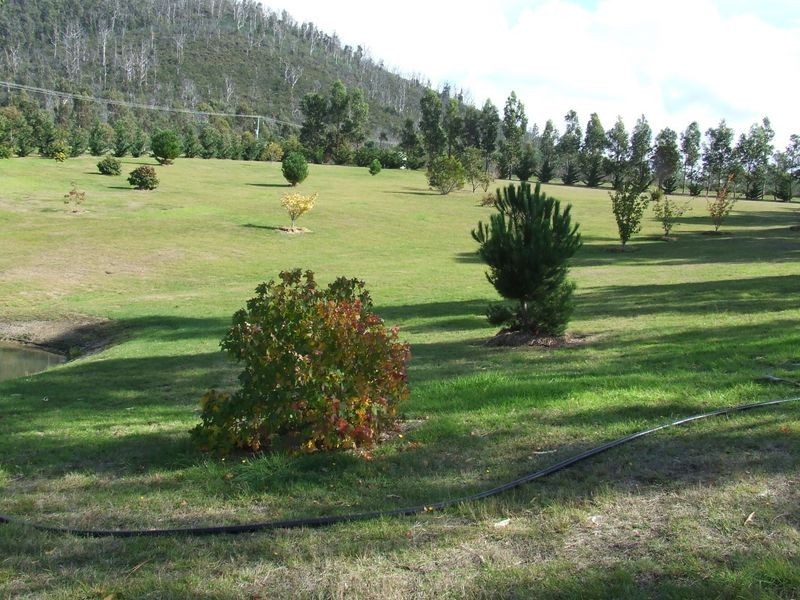 21506 Tasman Highway, Four Mile Creek TAS 7215