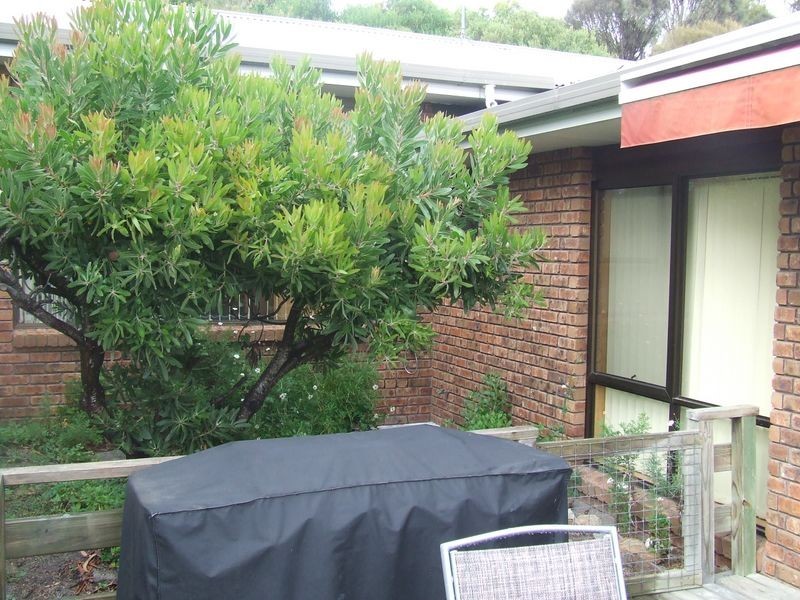 60 Main Road, Binalong Bay TAS 7216