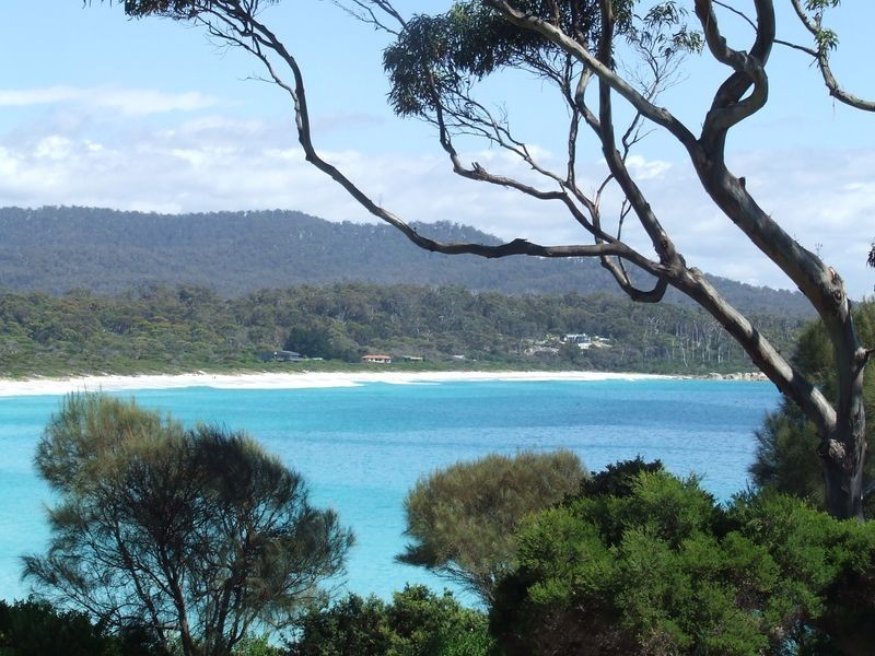 60 Main Road, Binalong Bay TAS 7216