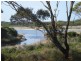 Lot 300 Wrinklers Drive, Scamander TAS 7215