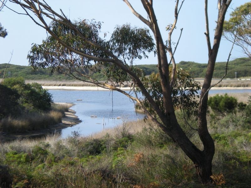 Lot 300 Wrinklers Drive, Scamander TAS 7215