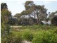 Lot 300 Wrinklers Drive, Scamander TAS 7215