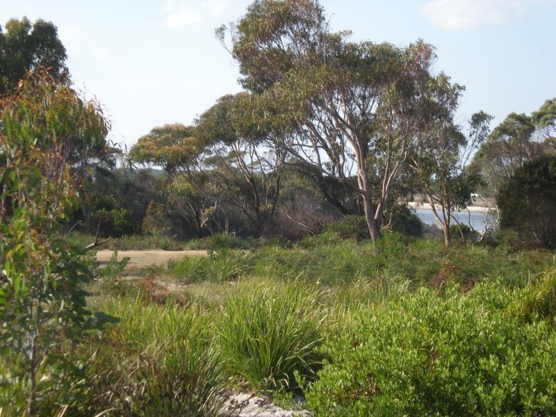 Lot 300 Wrinklers Drive, Scamander TAS 7215