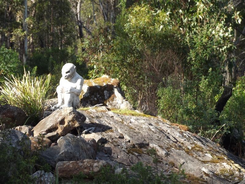 461 Gardiners Creek Road, St Marys TAS 7215