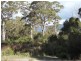461 Gardiners Creek Road, St Marys TAS 7215