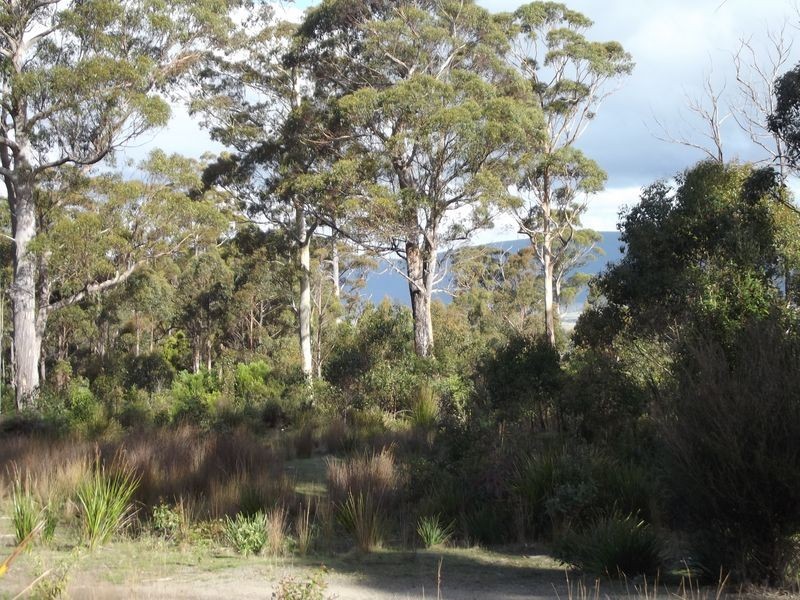 461 Gardiners Creek Road, St Marys TAS 7215