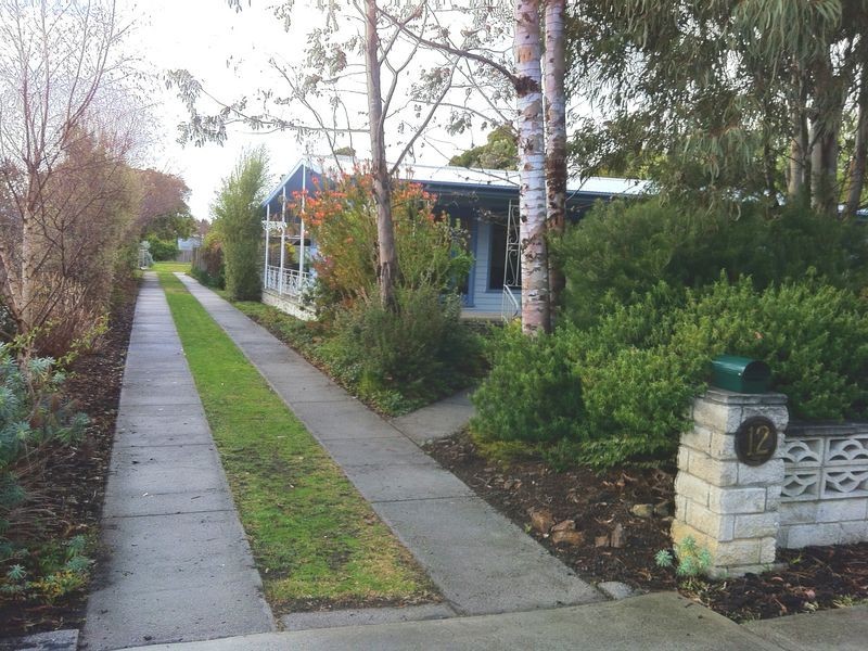 12 Medea Street, St Helens TAS 7216