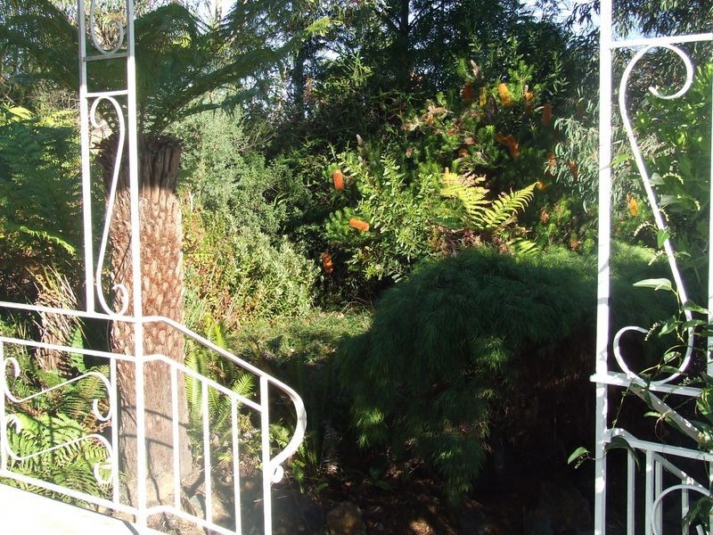 12 Medea Street, St Helens TAS 7216