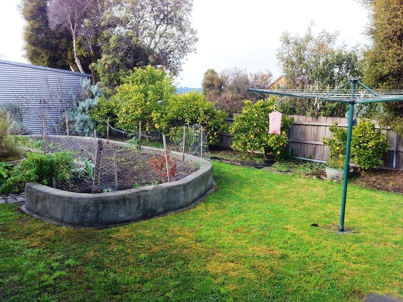 12 Medea Street, St Helens TAS 7216