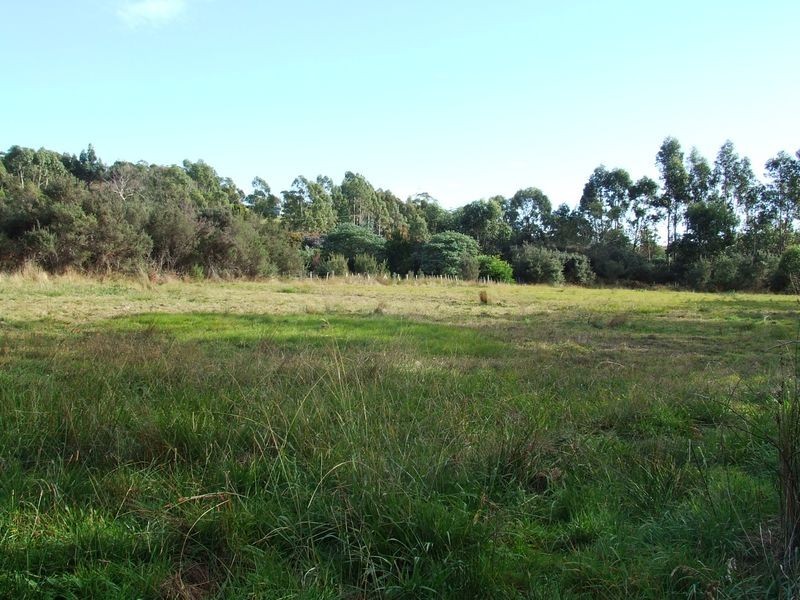 21 Canhams Road, St Helens TAS 7216