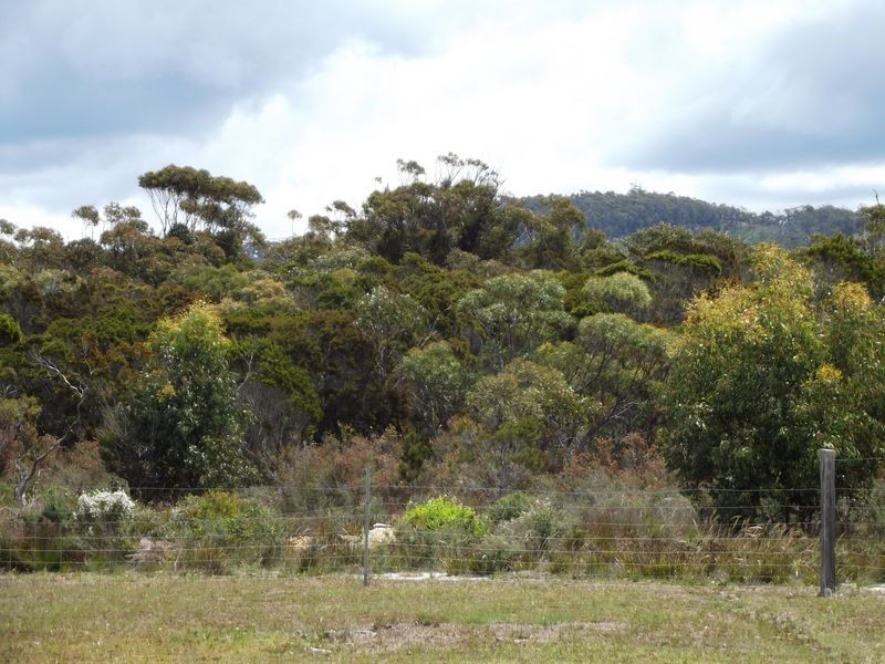 Lot 1 Ocean Drive, Beaumaris TAS 7215