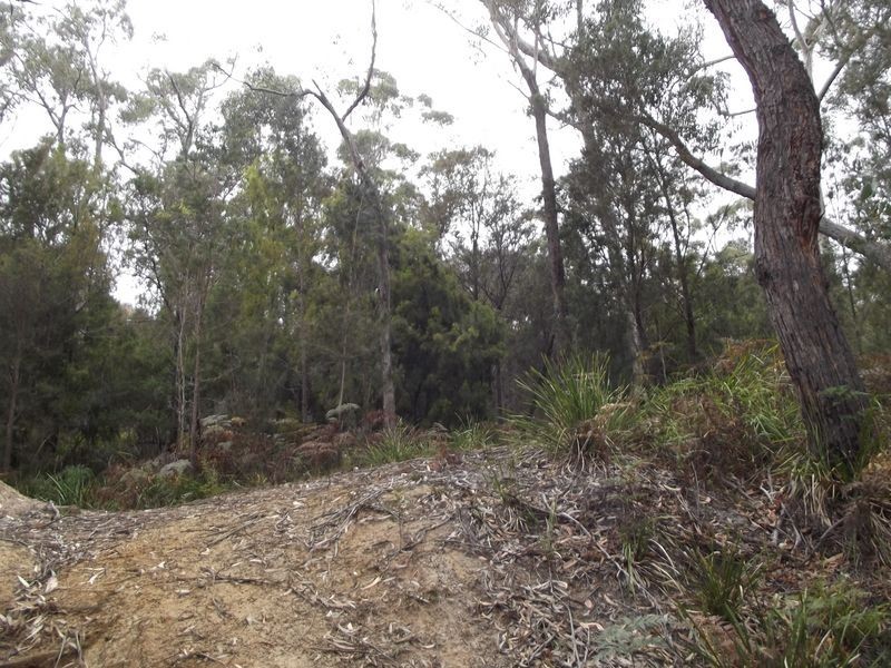 Lot 1 Ocean Drive, Beaumaris TAS 7215