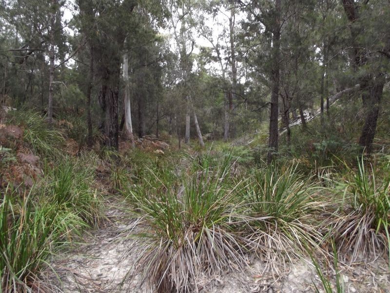 Lot 1 Ocean Drive, Beaumaris TAS 7215