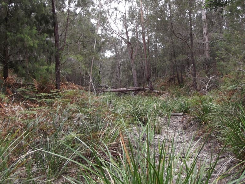 Lot 1 Ocean Drive, Beaumaris TAS 7215