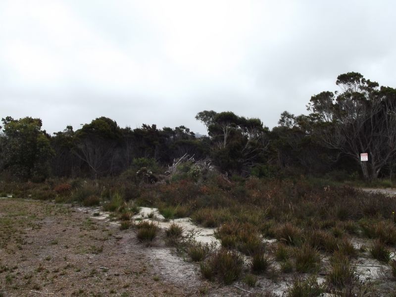 Lot 1 Ocean Drive, Beaumaris TAS 7215