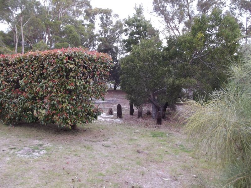 5 Osprey Drive, St Helens TAS 7216