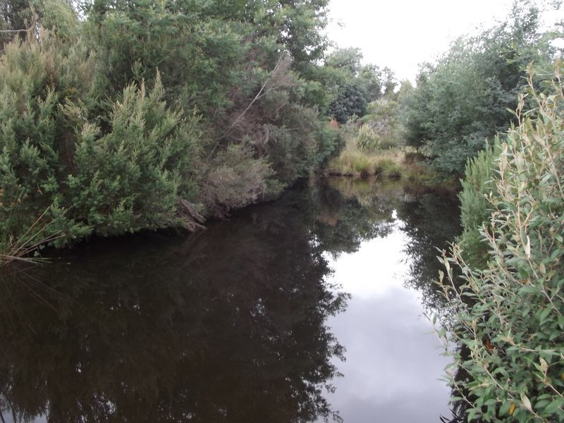 330 Mathinna Road (Delvin), Mathinna TAS 7214