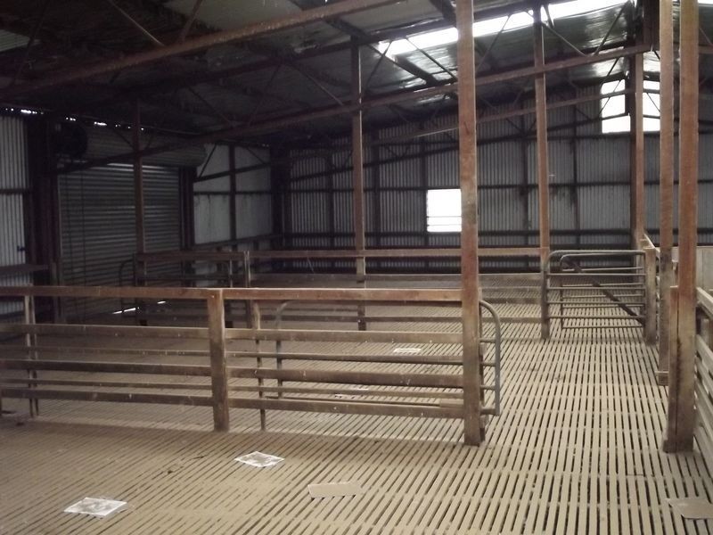 330 Mathinna Road (Delvin), Mathinna TAS 7214