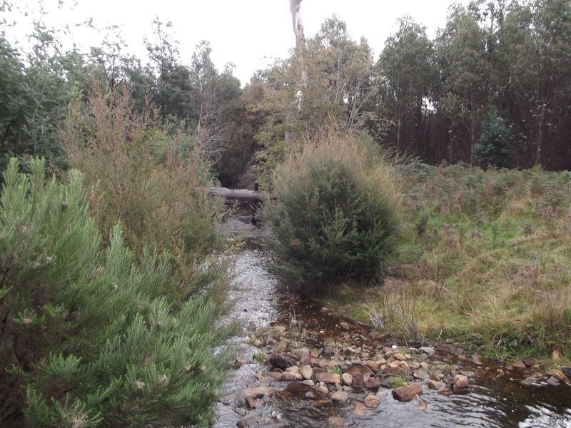 330 Mathinna Road (Delvin), Mathinna TAS 7214