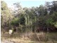 72 Acacia Drive, Ansons Bay TAS 7216