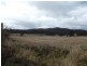 Wilson Street, Mathinna TAS 7214
