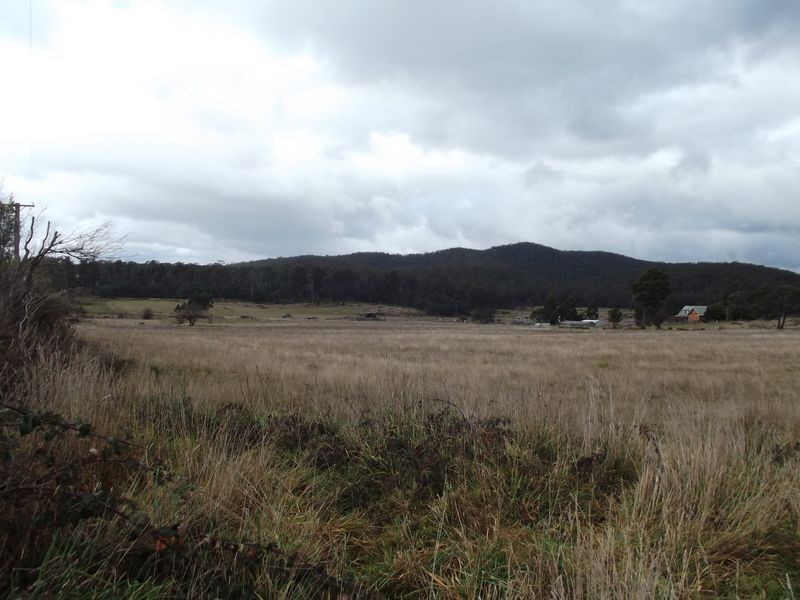 Wilson Street, Mathinna TAS 7214