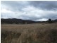 Wilson Street, Mathinna TAS 7214