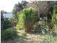 225 St Helens Point Rd, Stieglitz TAS 7216