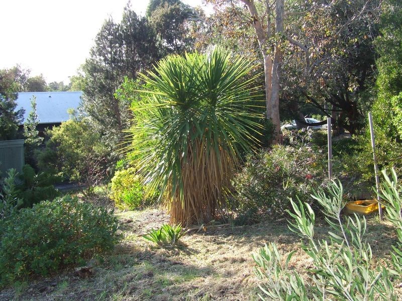 225 St Helens Point Rd, Stieglitz TAS 7216