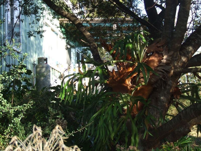 225 St Helens Point Rd, Stieglitz TAS 7216