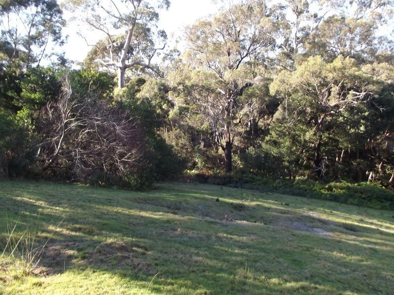 60 Treloggen Drive, Binalong Bay TAS 7216