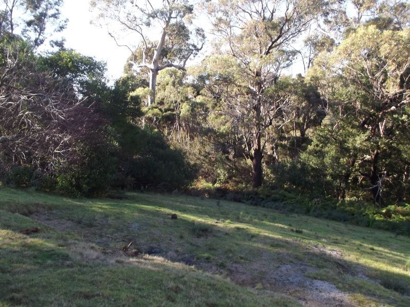 60 Treloggen Drive, Binalong Bay TAS 7216