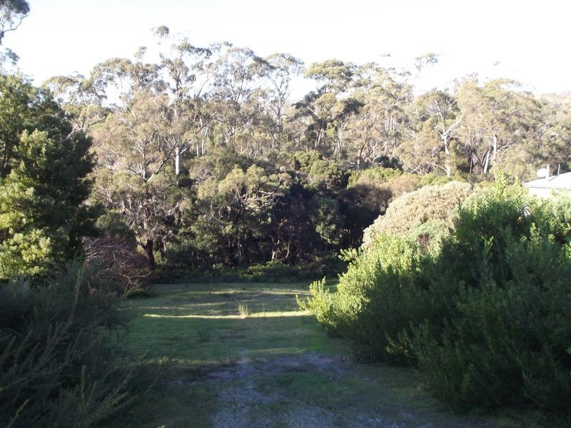 60 Treloggen Drive, Binalong Bay TAS 7216