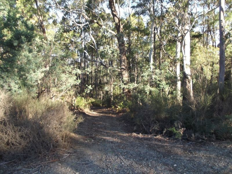 1/ Frank Street, St Marys TAS 7215