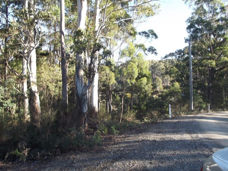 1/ Frank Street, St Marys TAS 7215