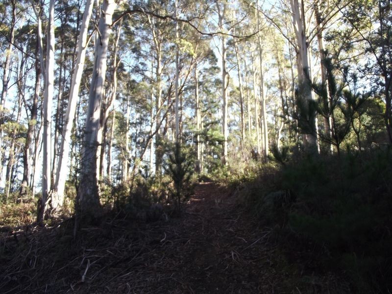 1/ Frank Street, St Marys TAS 7215