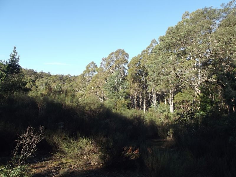 1/ Frank Street, St Marys TAS 7215