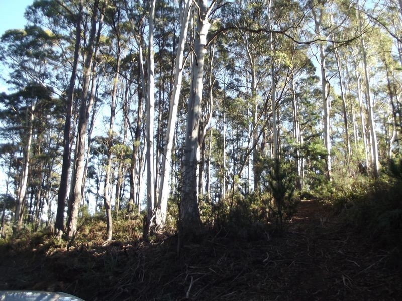 1/ Frank Street, St Marys TAS 7215