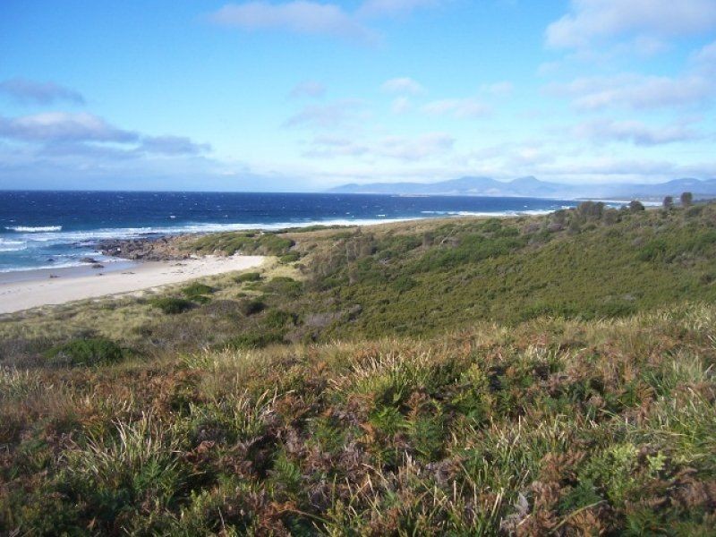 6 Pringle Street, Scamander TAS 7215