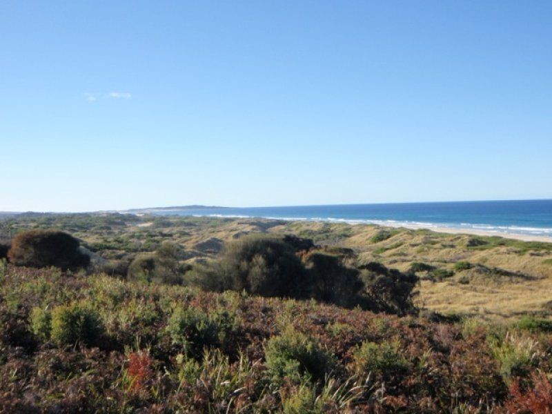 6 Pringle Street, Scamander TAS 7215