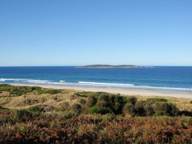 6 Pringle Street, Scamander TAS 7215