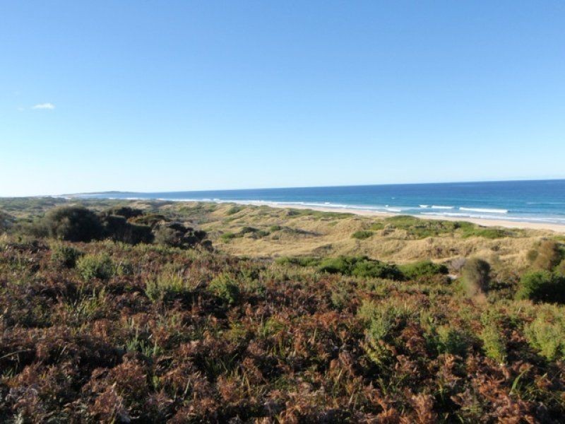 6 Pringle Street, Scamander TAS 7215