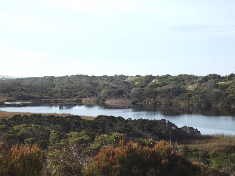 6 Pringle Street, Scamander TAS 7215