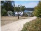 169 Upper Scamander Road, Beaumaris TAS 7215