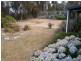 169 Upper Scamander Road, Beaumaris TAS 7215