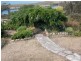 169 Upper Scamander Road, Beaumaris TAS 7215
