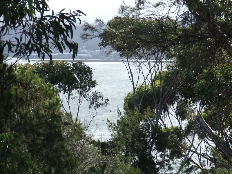 67 St Helens Point Road, Stieglitz TAS 7216