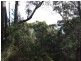 67 St Helens Point Road, Stieglitz TAS 7216