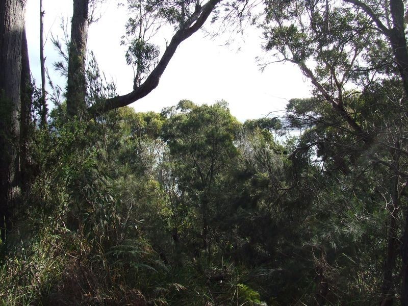 67 St Helens Point Road, Stieglitz TAS 7216