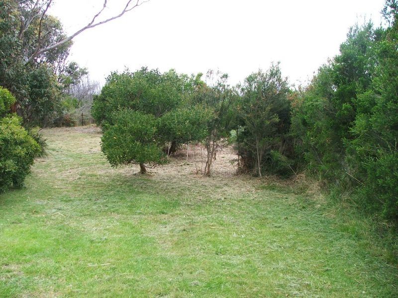 9 Dune Street, Scamander TAS 7215